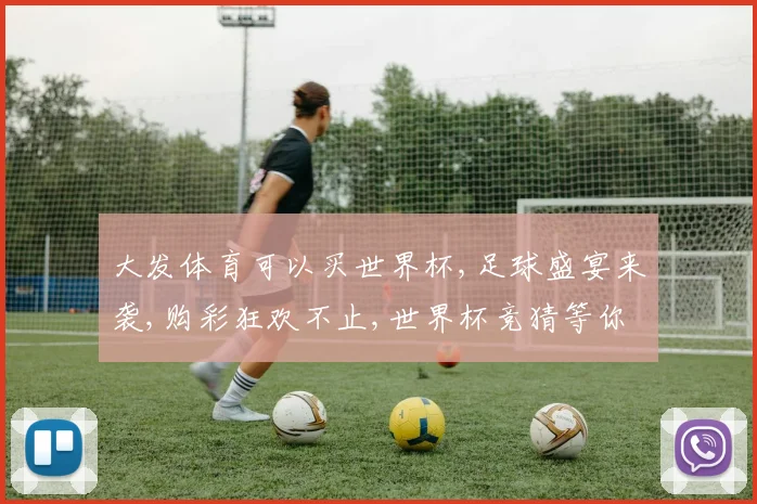 大发体育可以买世界杯,足球盛宴来袭,购彩狂欢不止,世界杯竞猜等你来