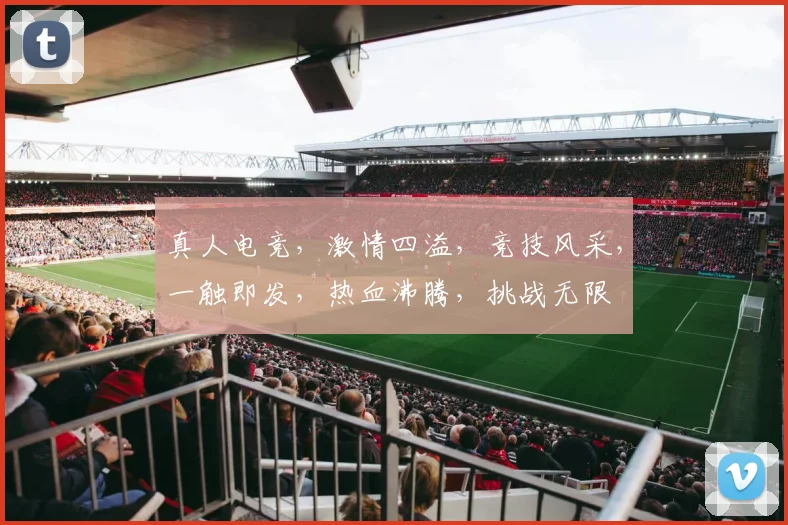 真人电竞，激情四溢，竞技风采，一触即发，热血沸腾，挑战无限